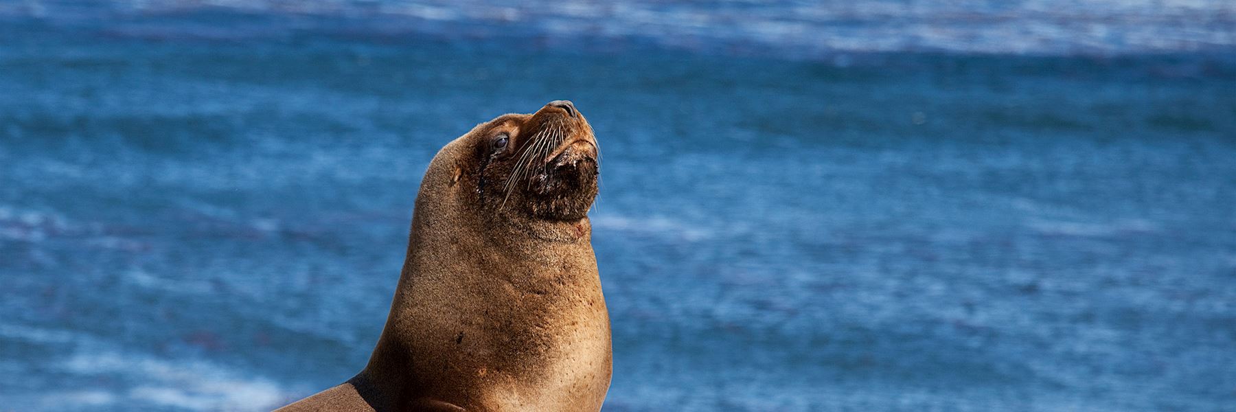 Falkland Islands holidays