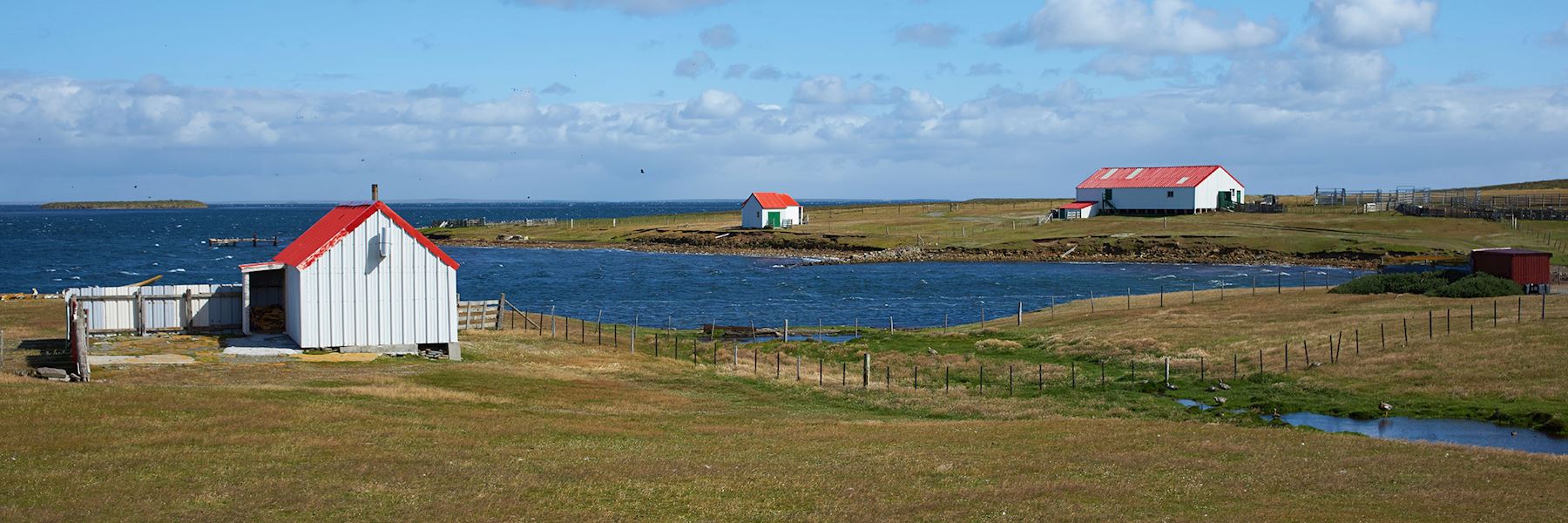 TailorMade Vacations to the Falkland Islands Audley Travel