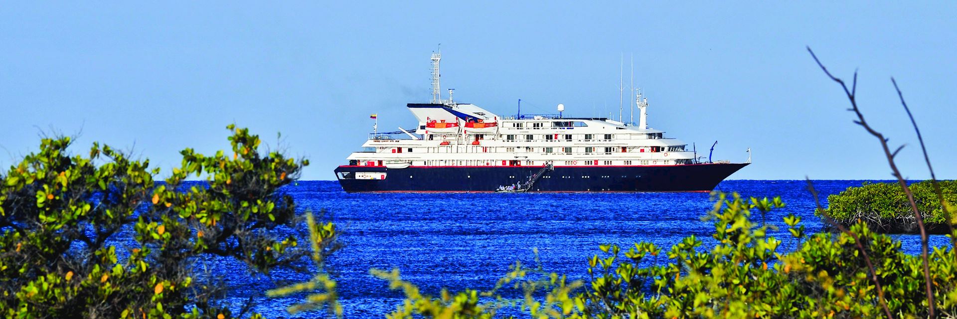 Silver Galapagos