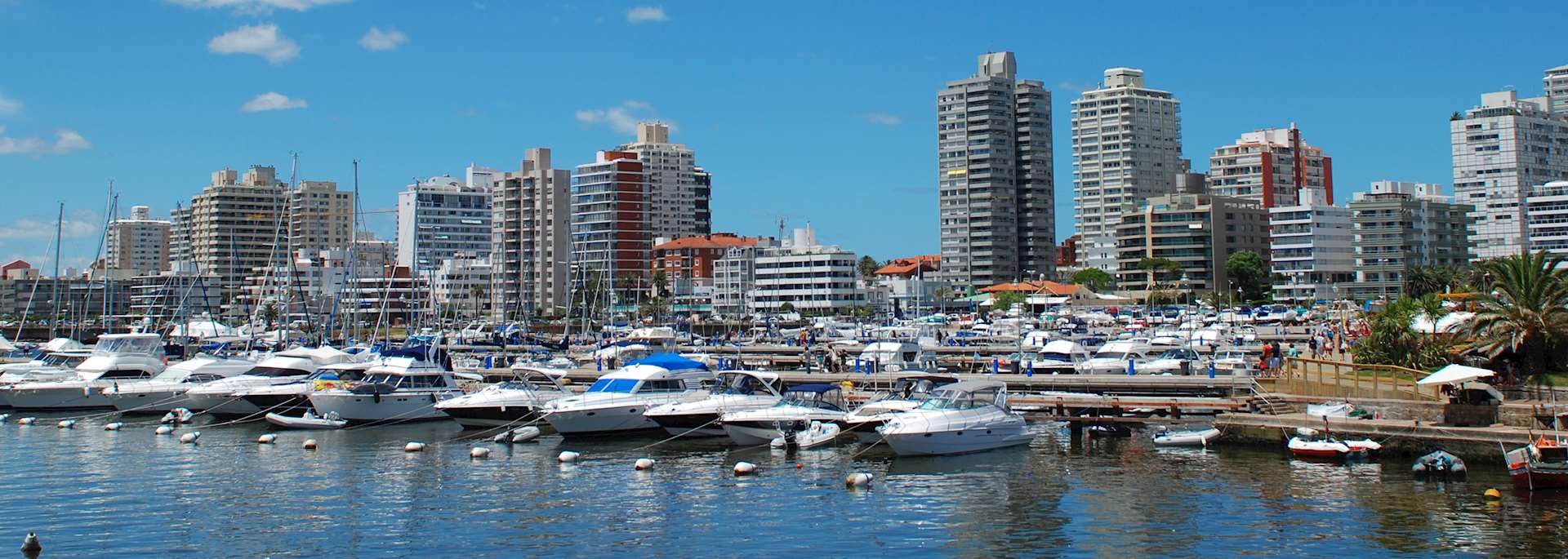 Punta del Este marina