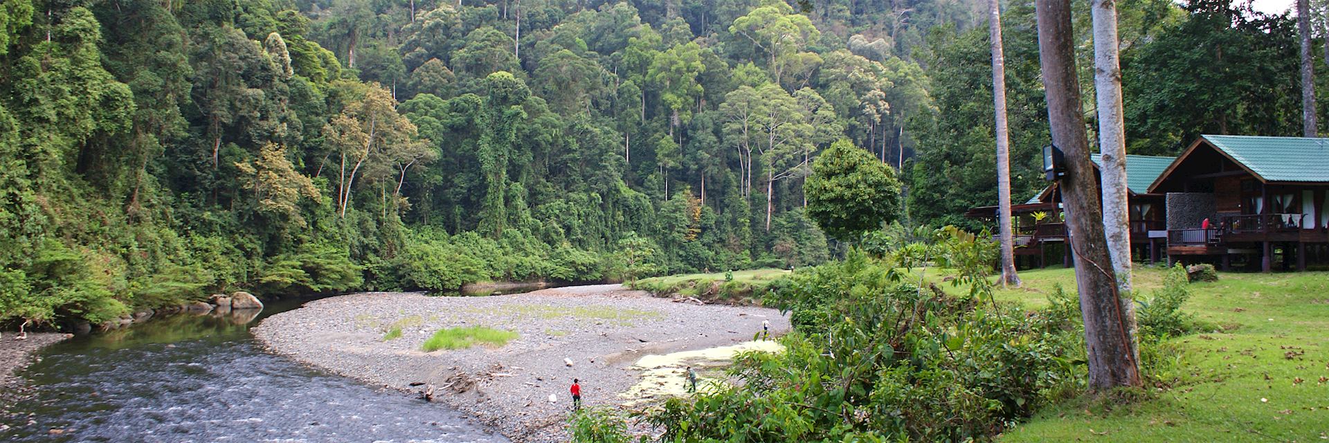 Borneo Rainforest Lodge in the Danum Valley