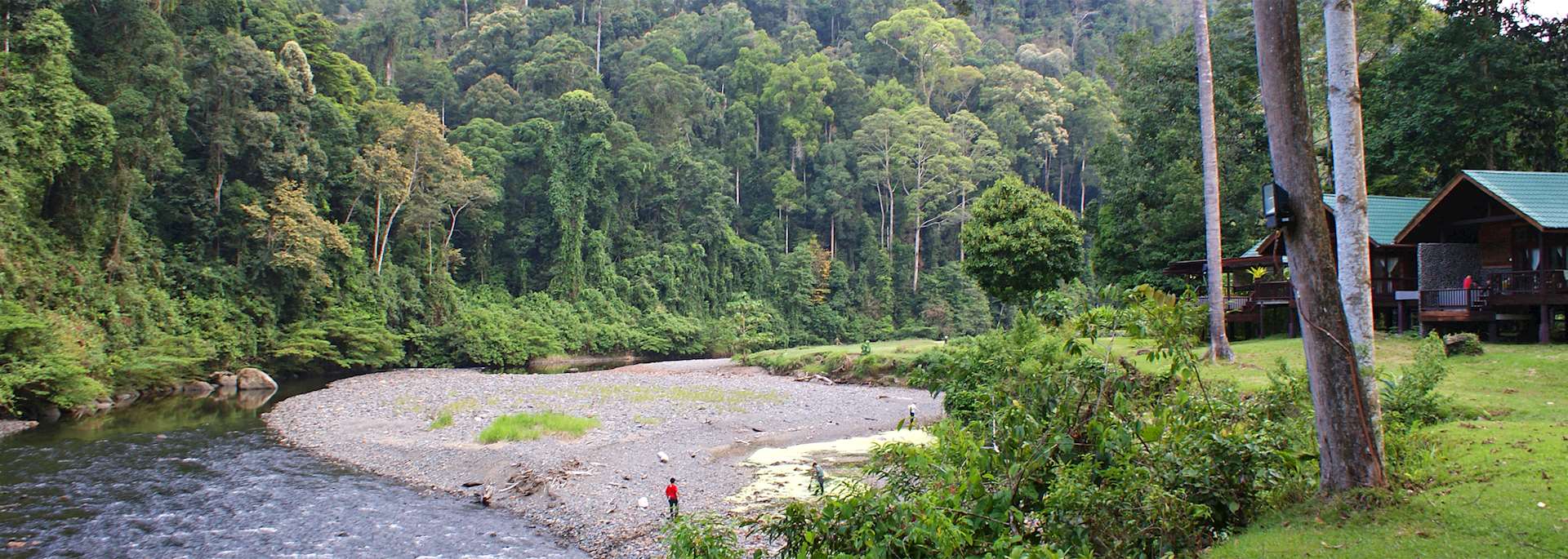 Borneo Rainforest Lodge in the Danum Valley