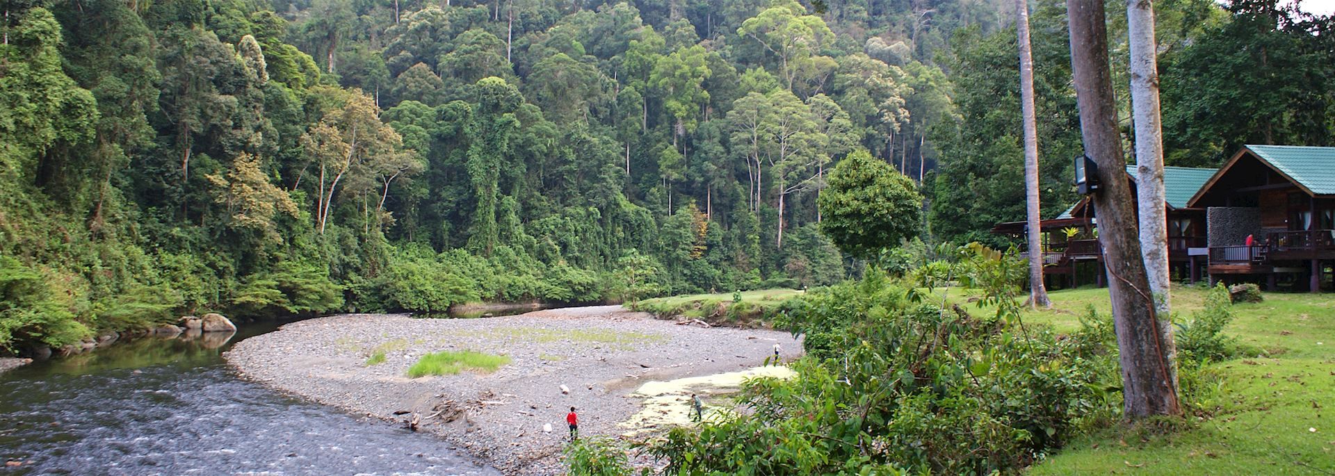 Borneo Rainforest Lodge in the Danum Valley
