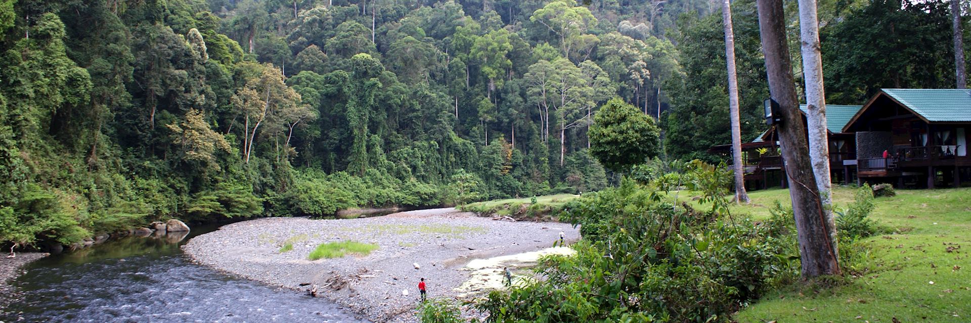 Borneo Rainforest Lodge in the Danum Valley