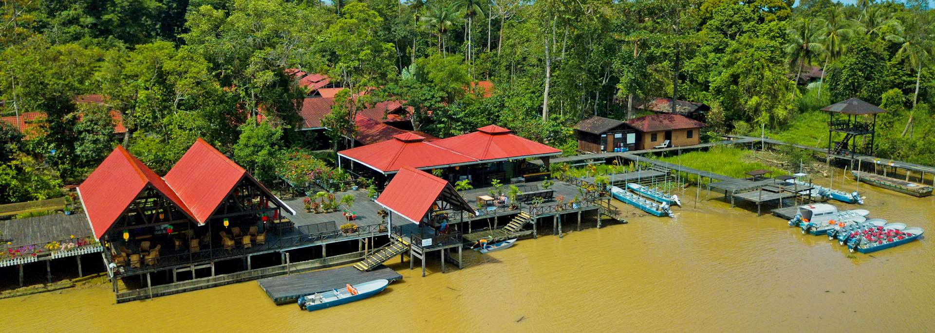 Abai Jungle Lodge