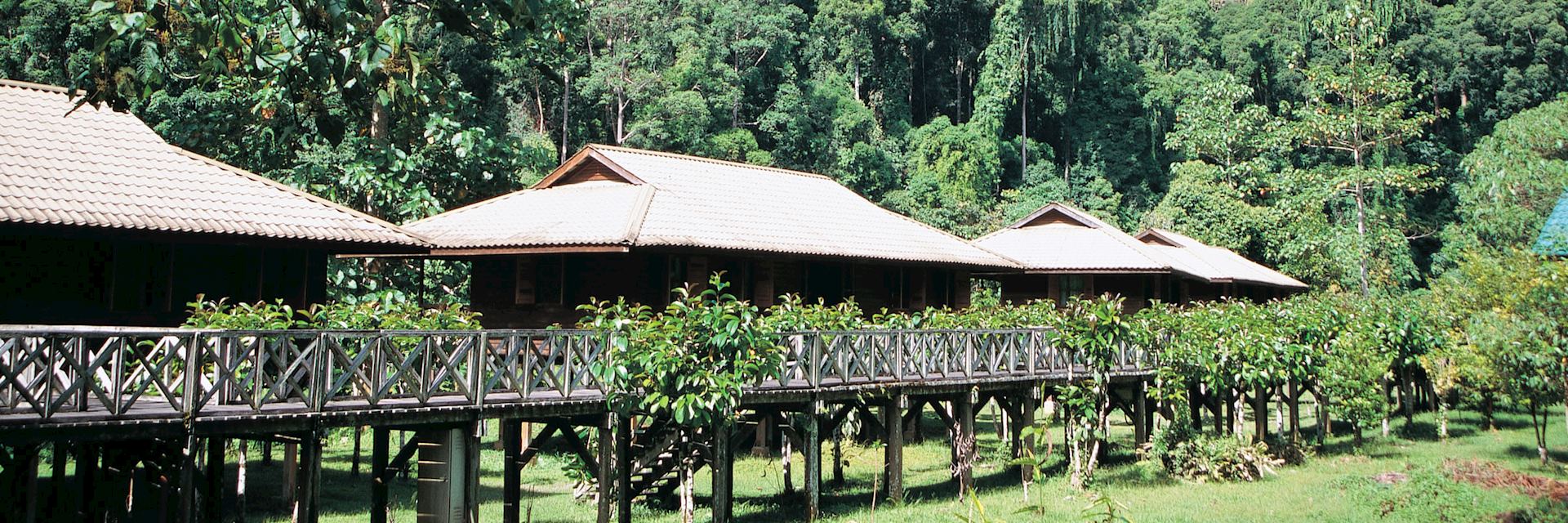Borneo Rainforest Lodge