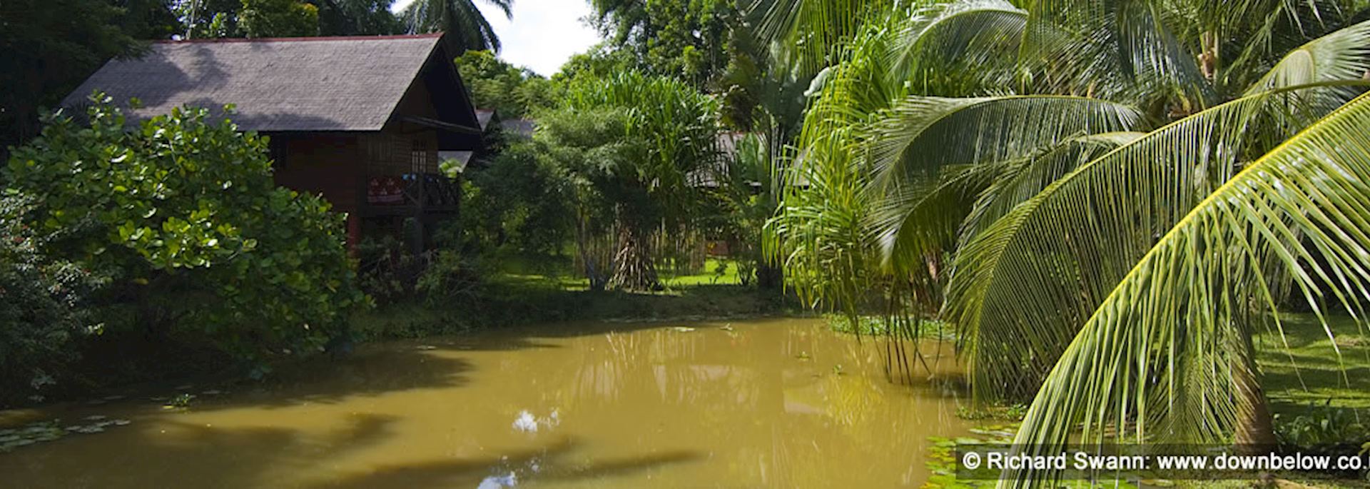 Sepilok Nature Lodge