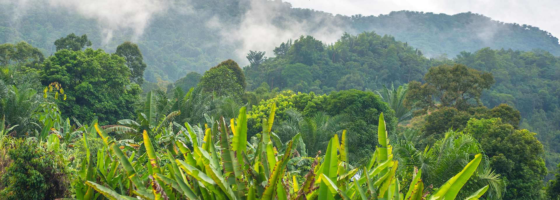 View from the North Borneo Railway