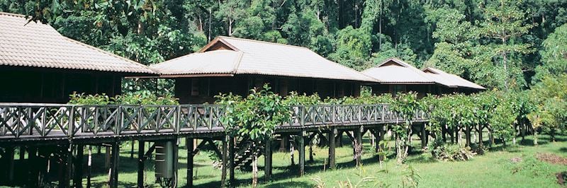 Chalets at Borneo Rainforest Lodge
