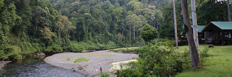 Borneo Rainforest Lodge, Danum Valley