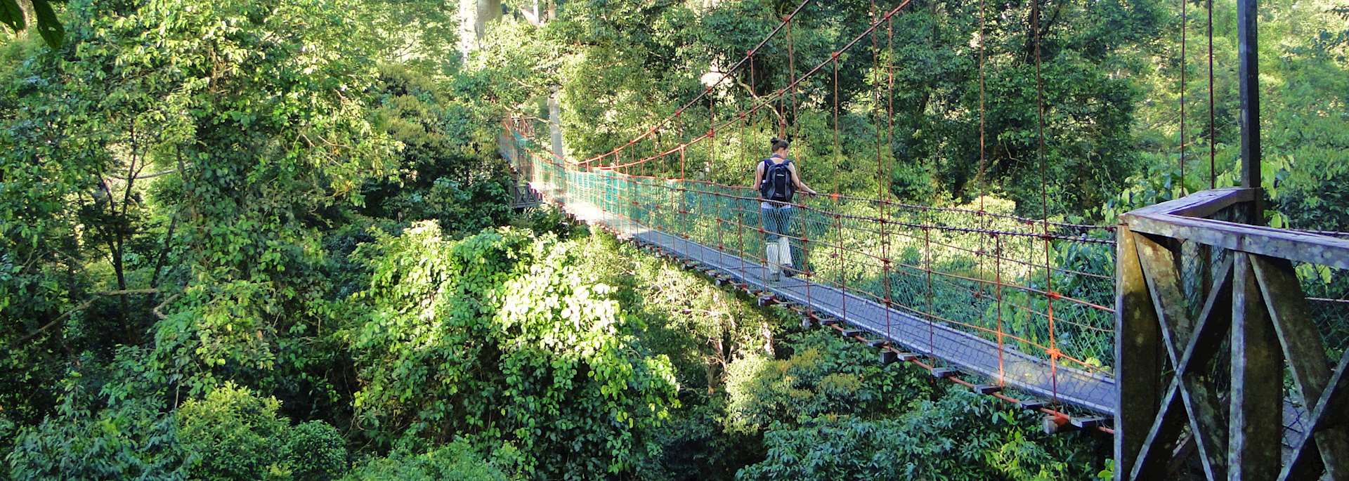 Canopy walk in the Danum Valley