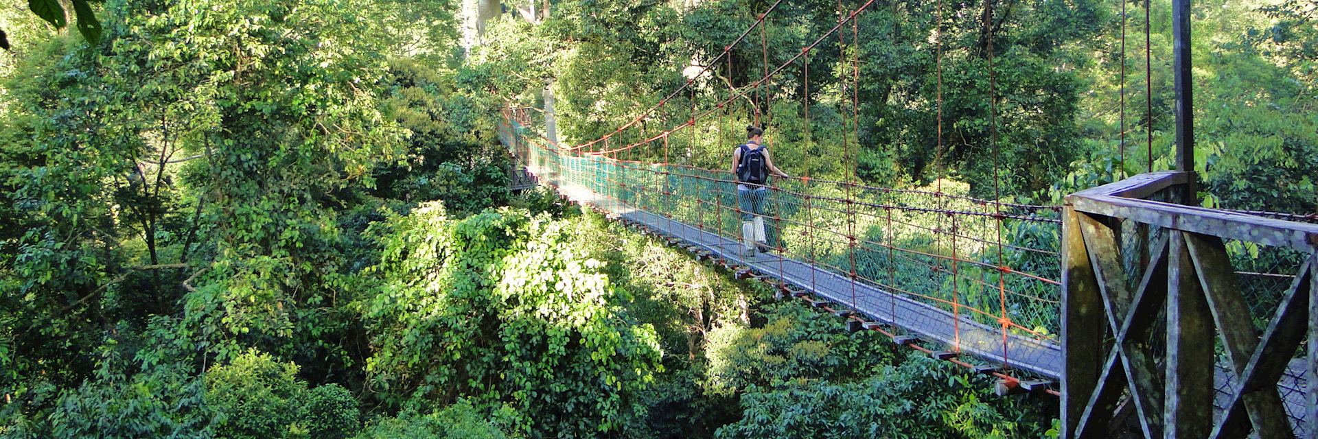 Canopy walk in the Danum Valley