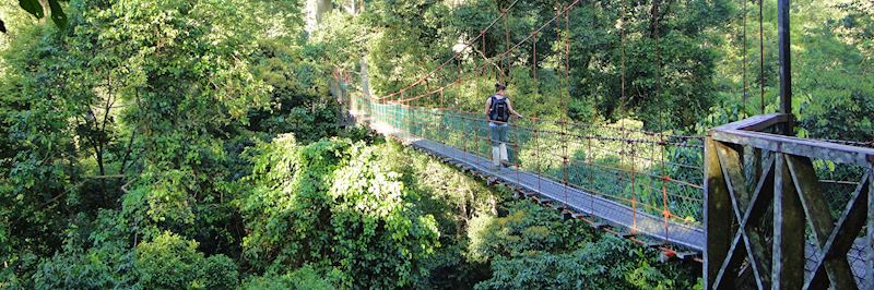 Canopy walk in the Danum Valley