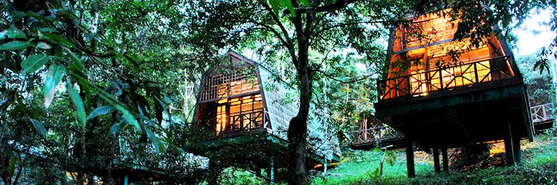 River lodges at the Tabin Wildlife Resort