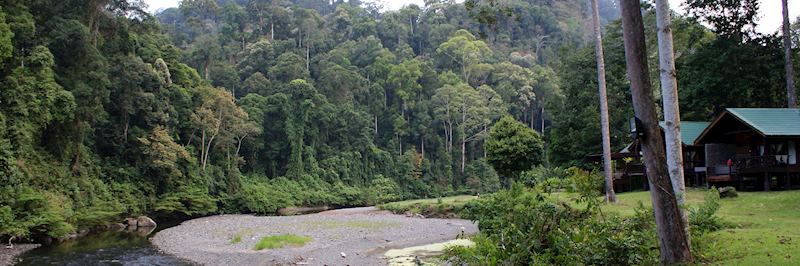 Borneo Rainforest Lodge in the Danum Valley