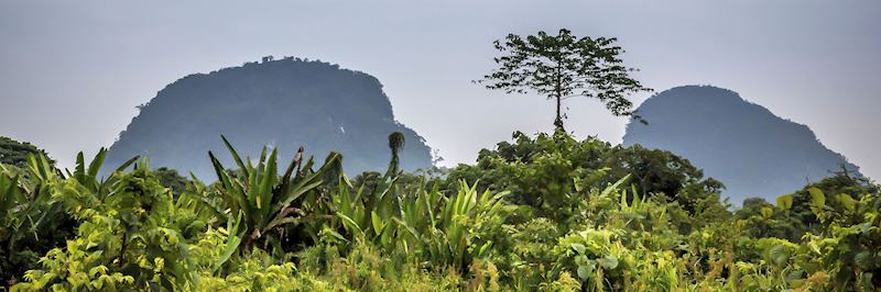 The remote and unspoilt Maliau Basin is ideal for more experienced walkers