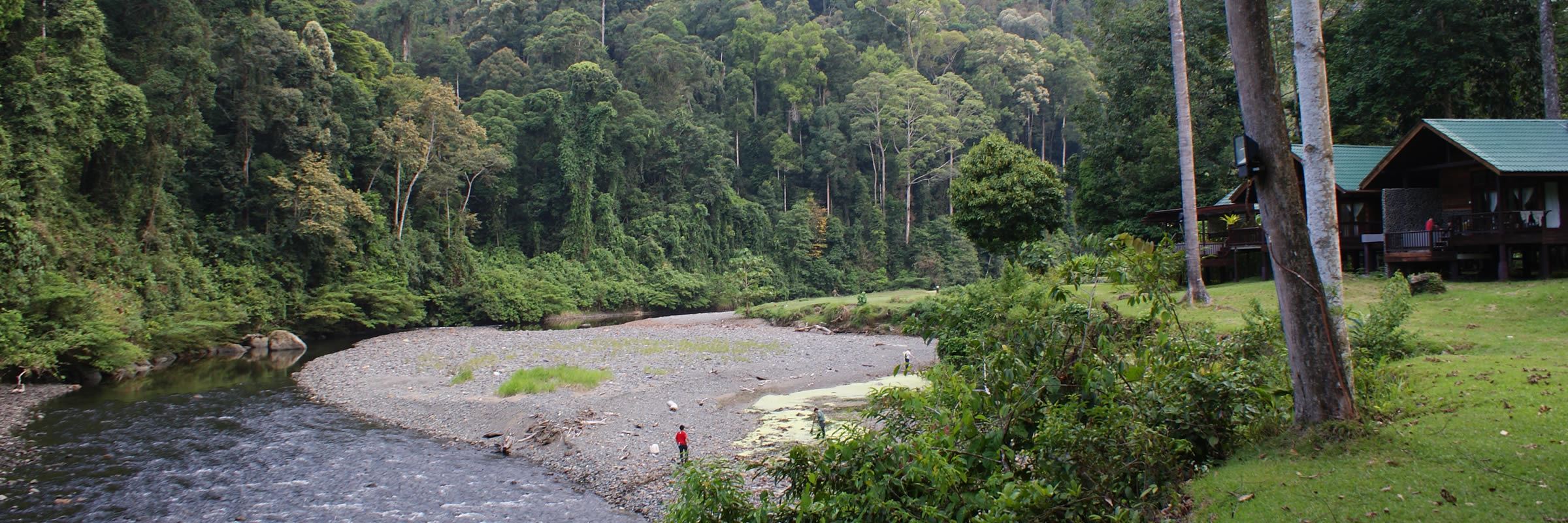 What To See In Borneo: Our Highlights Guide | Audley Travel CA