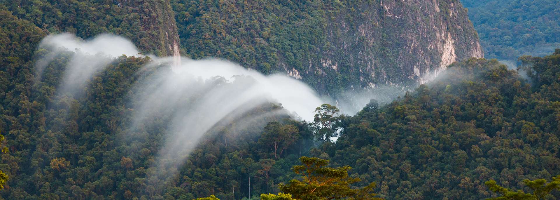 Gunung Mulu National Park
