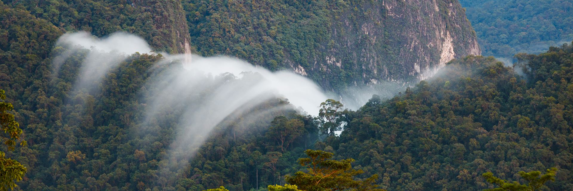 Gunung Mulu National Park