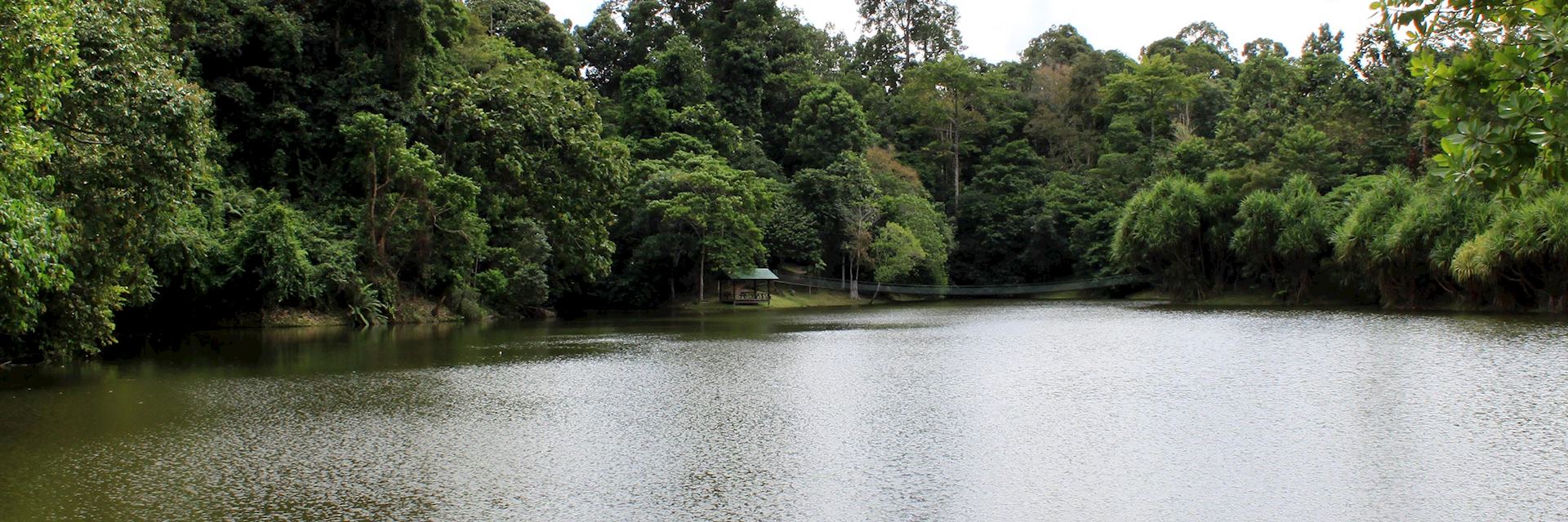 Rainforest Discovery Centre, Sandakan