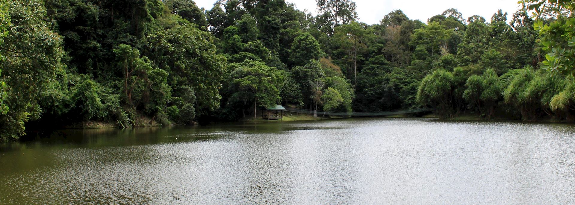 Rainforest Discovery Centre, Sandakan
