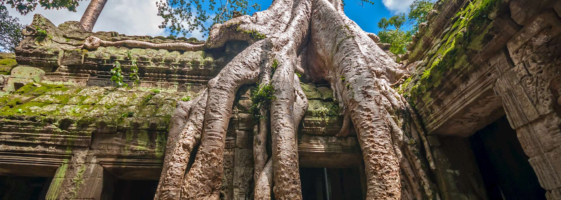 Ta Prohm, Siem Reap