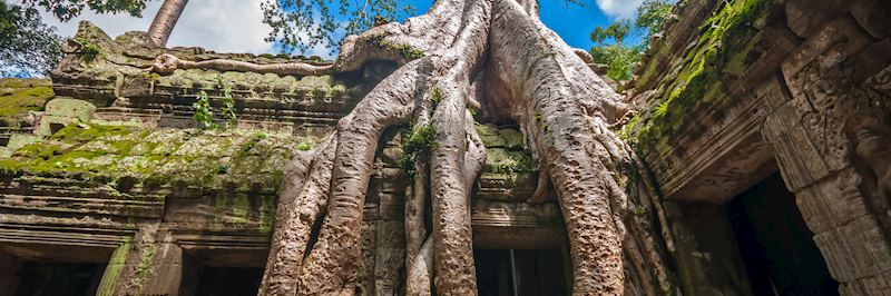 Ta Prohm, Siem Reap