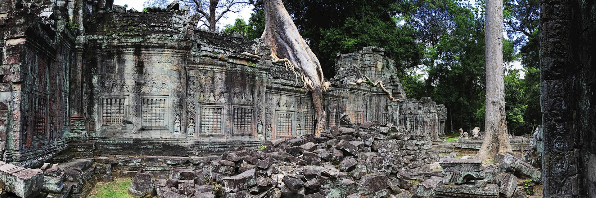Ta Promh Temple in Siem Reap