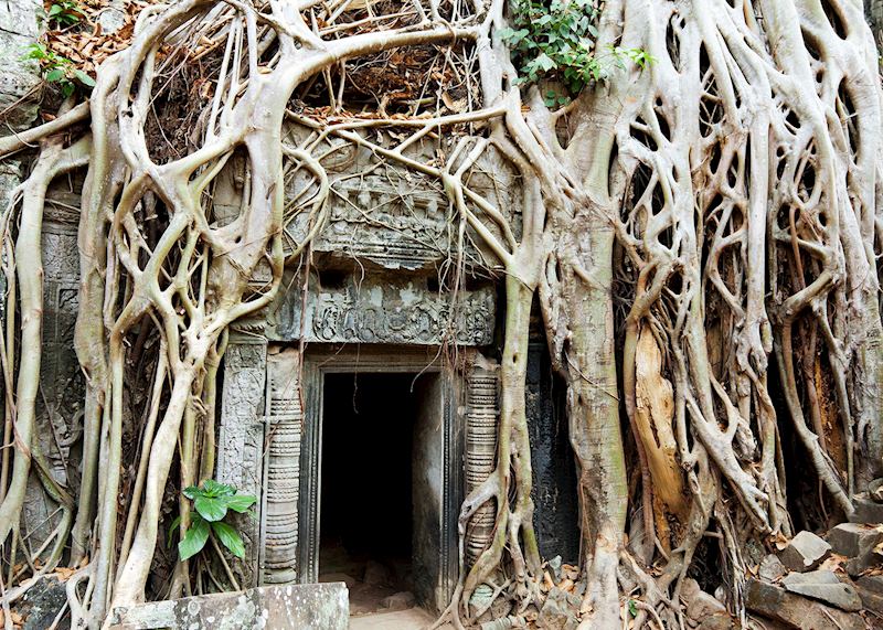 Ta Prohm