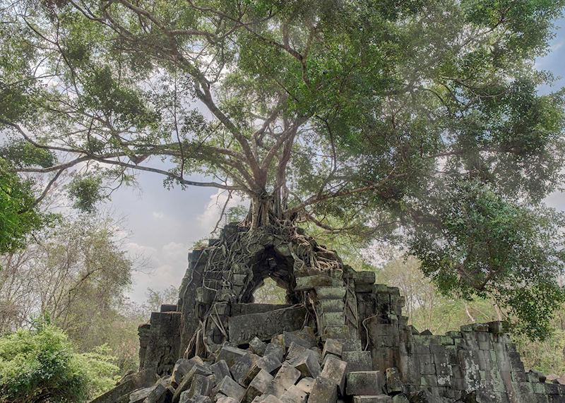 Beng Mealea