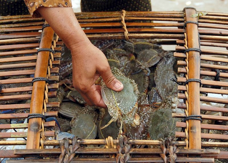 Crab market, Kep