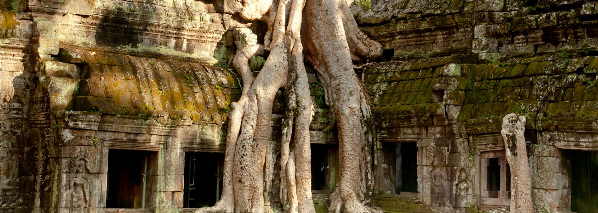 Ta Prohm, Siem Reap