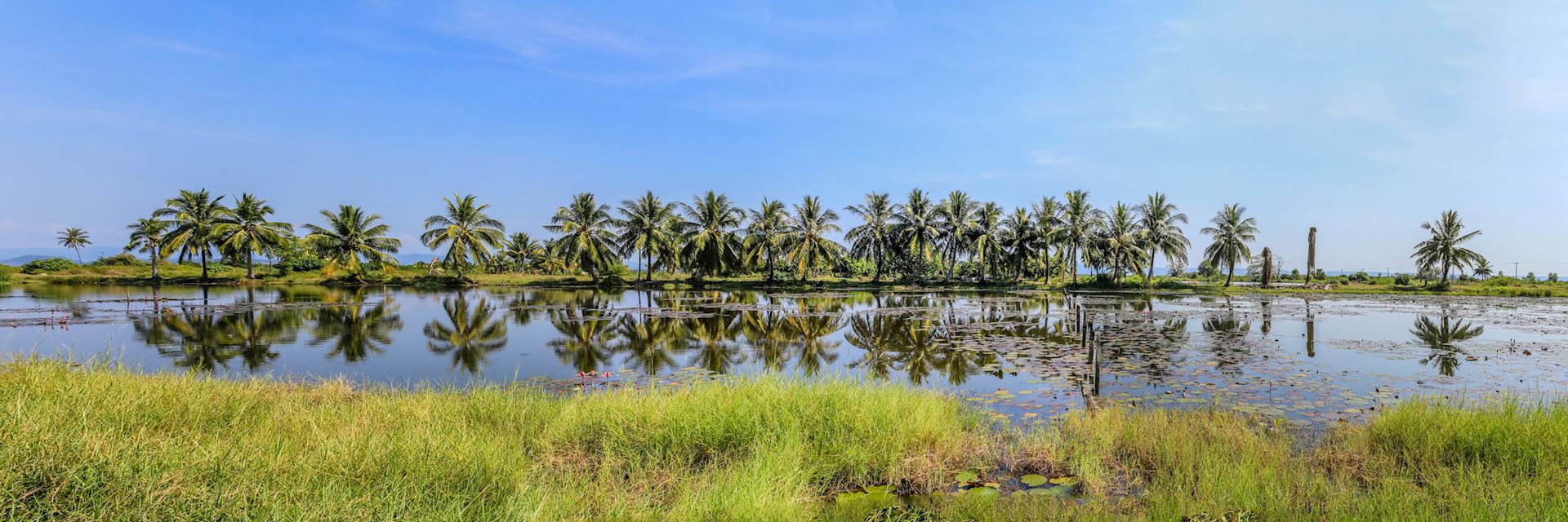 Tropical wetlands in Koh Kong, Cambodia