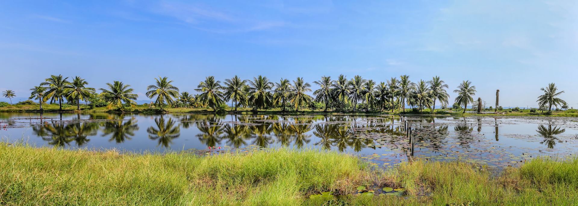 Tropical wetlands in Koh Kong, Cambodia