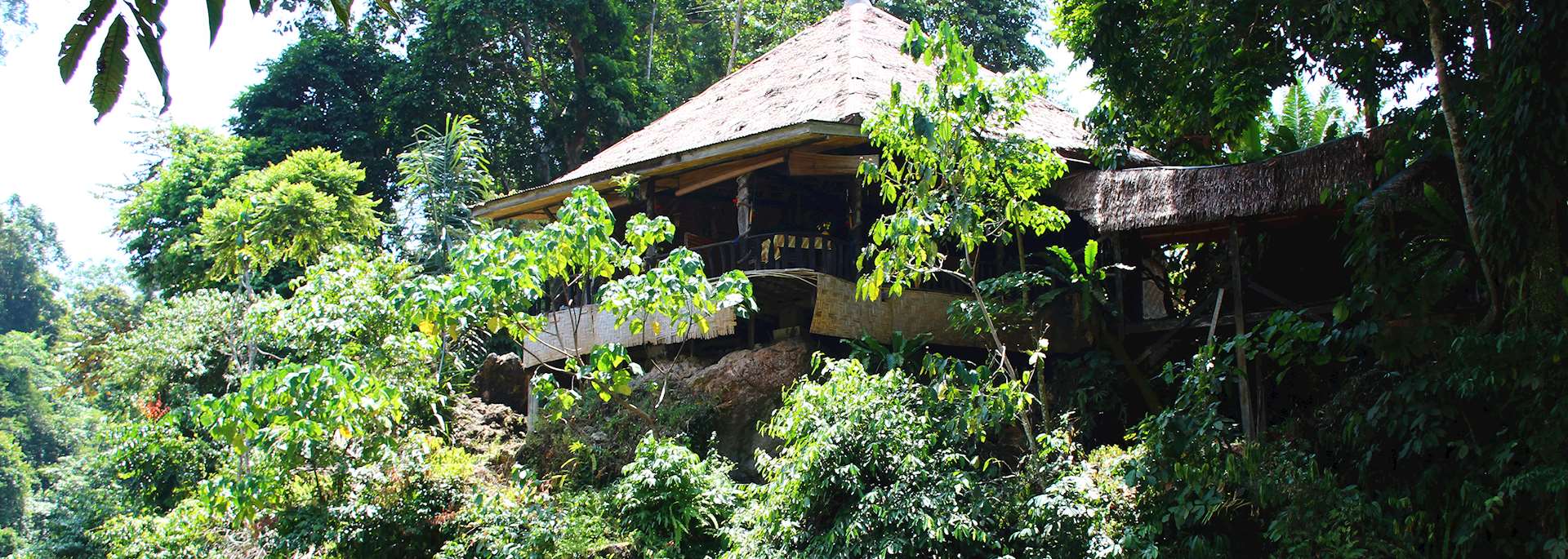 Jungle Lodge
