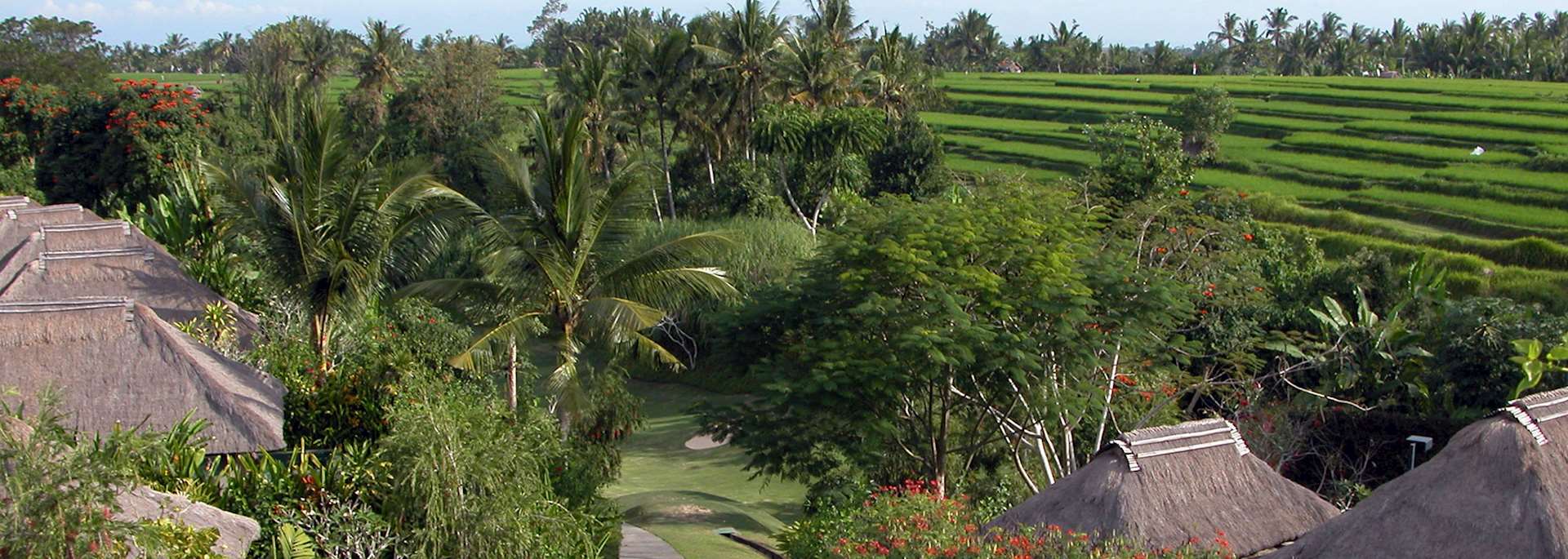 Wapa Di Ume, Ubud