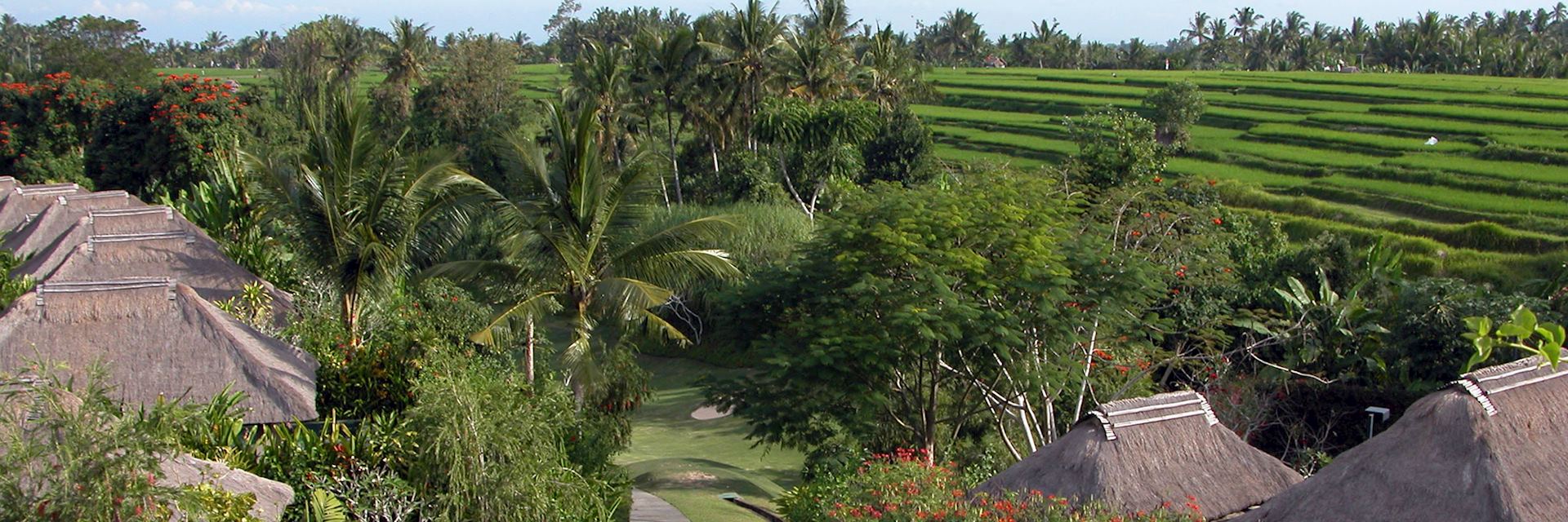 Wapa Di Ume, Ubud