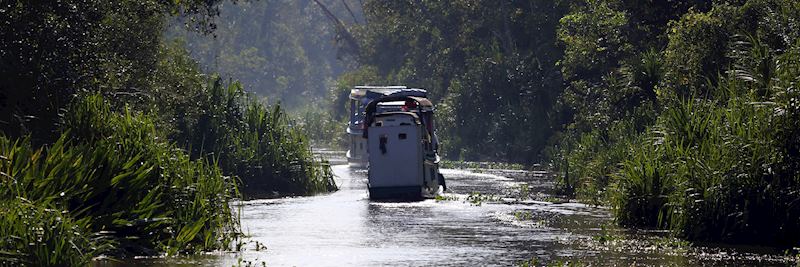 Travel by traditional klotok boat