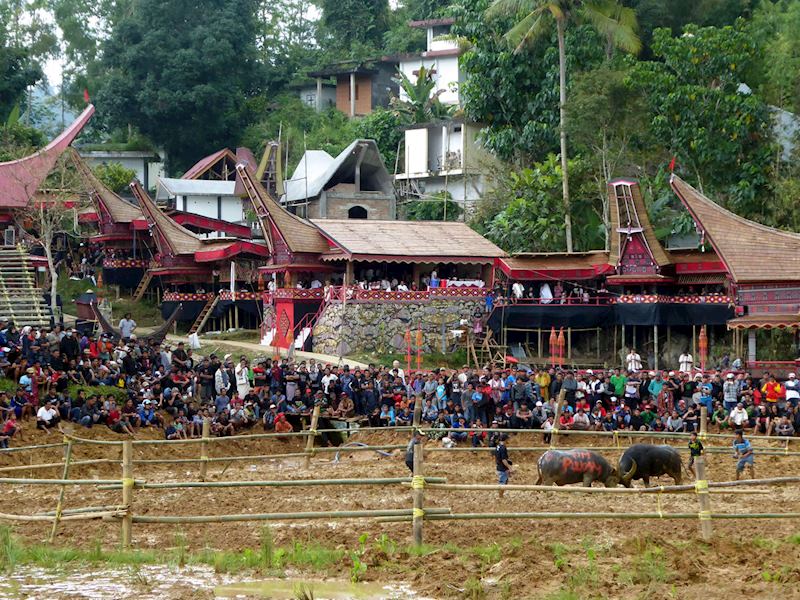 Bullfighting ritual at a Trajan funeral