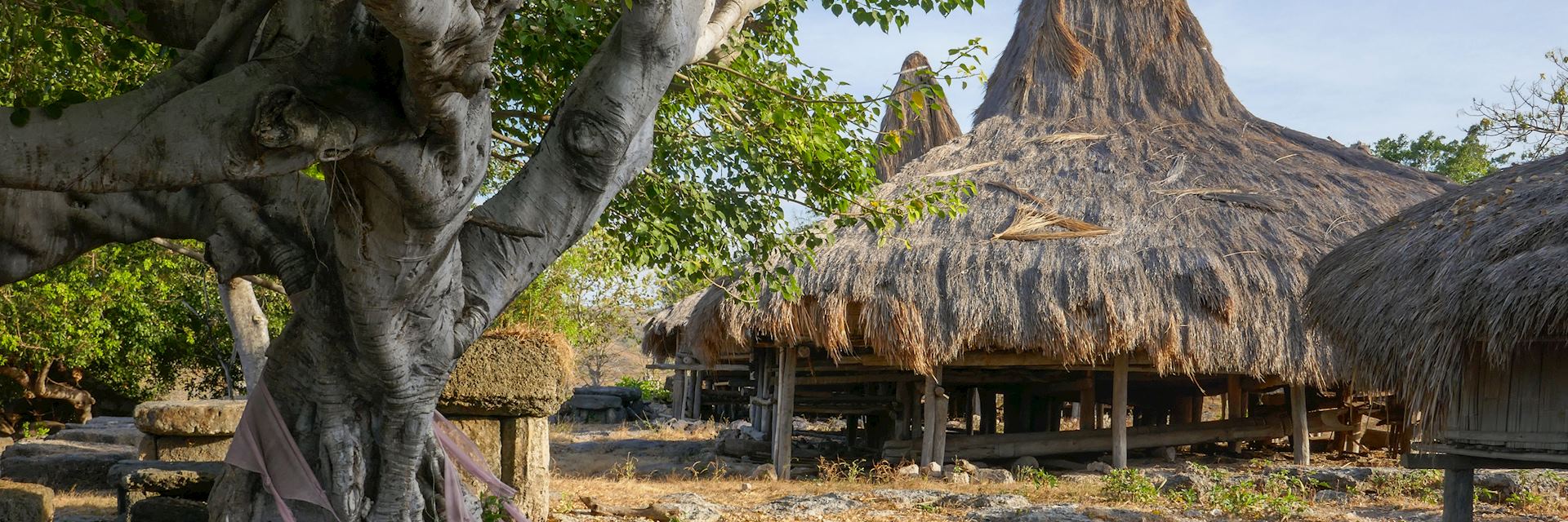 Traditional houses in Sumba