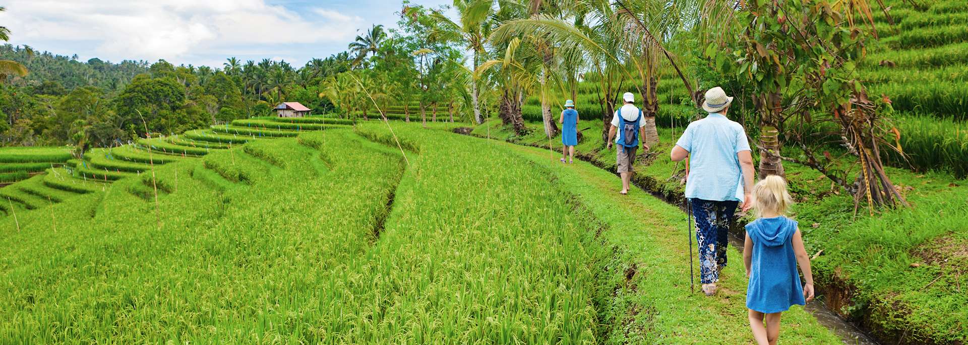 Family walking in the rice terraces
