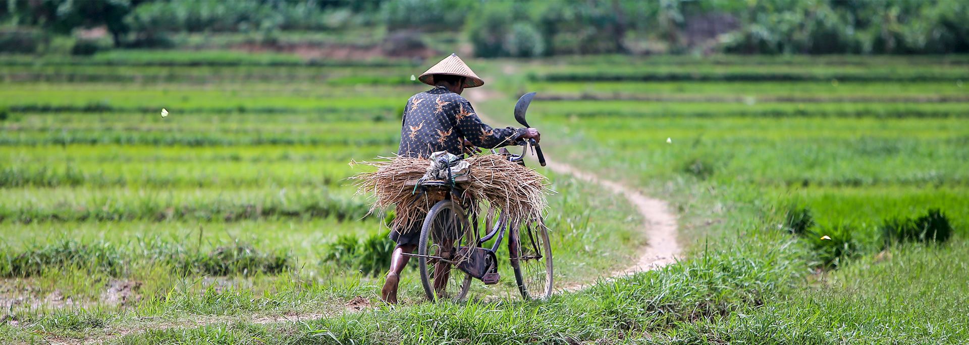 Farmer and his bike, Java