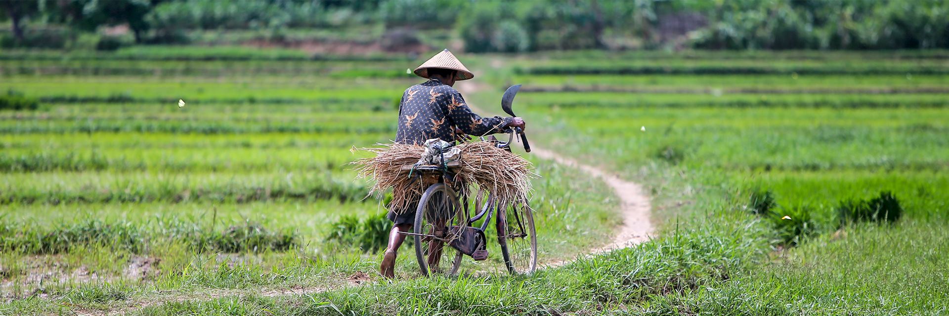 Farmer and his bike, Java