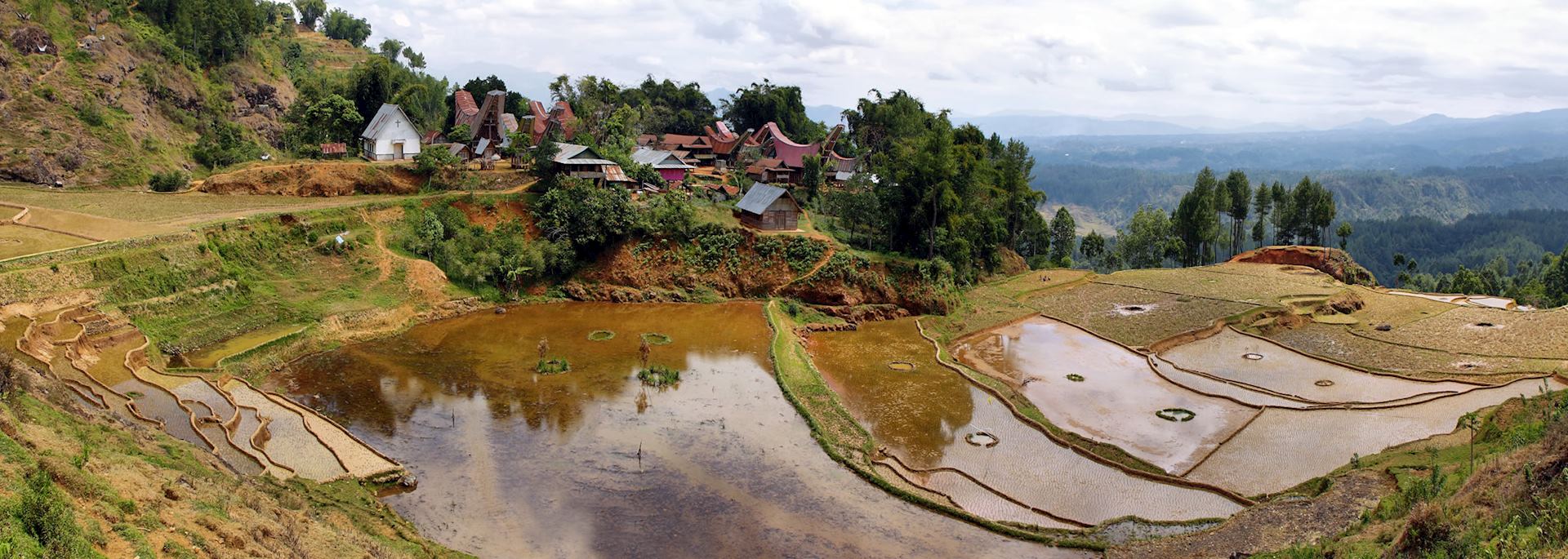 Village of Limbong in Sulawesi