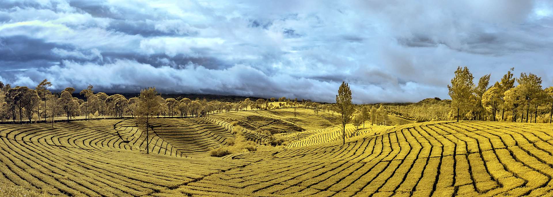 Bandung