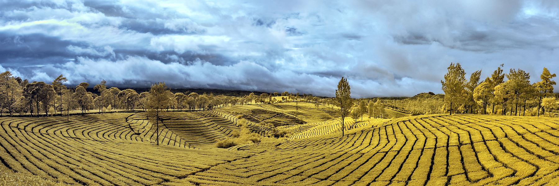 Visit Bandung on a trip to Indonesia | Audley Travel