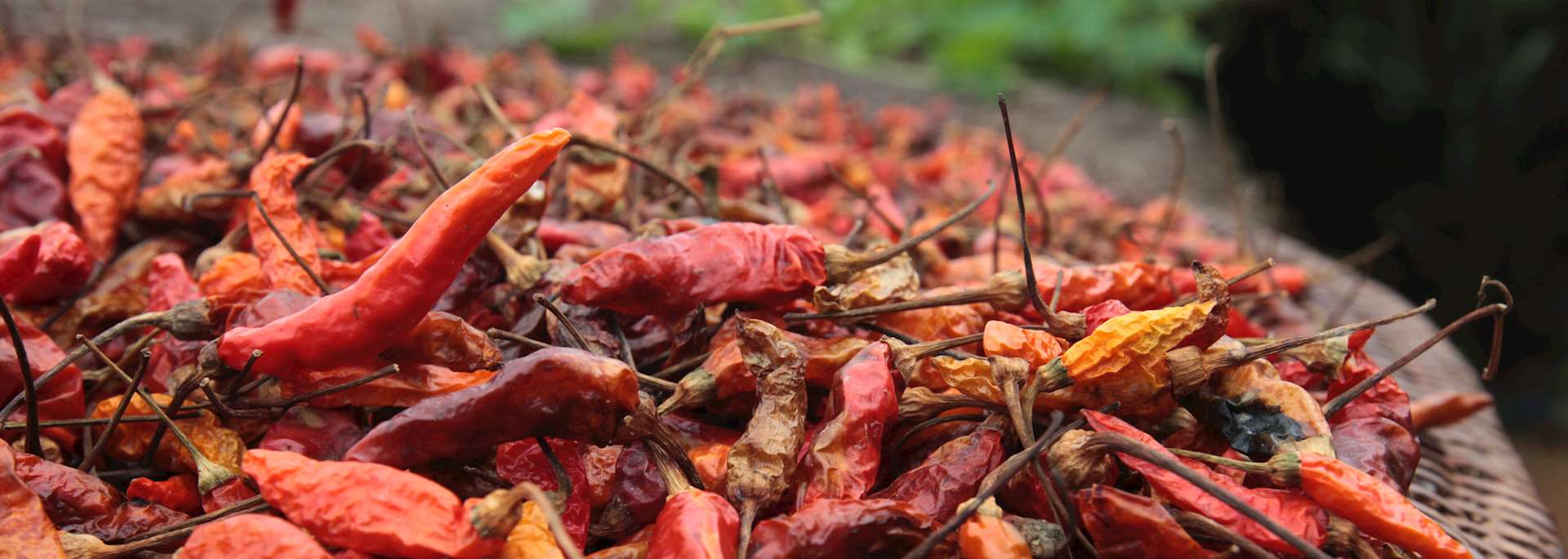 Spices in Vientiane