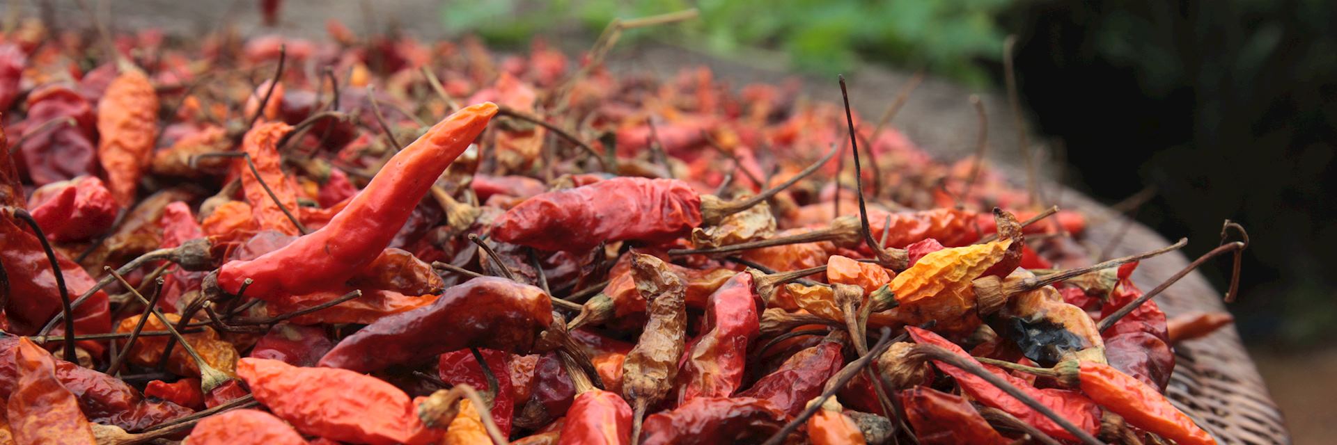 Spices in Vientiane