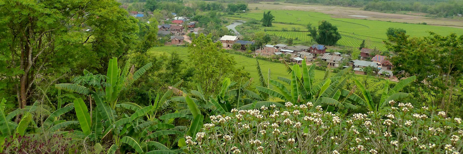 Akha minority village, Luang Nam Tha, Laos