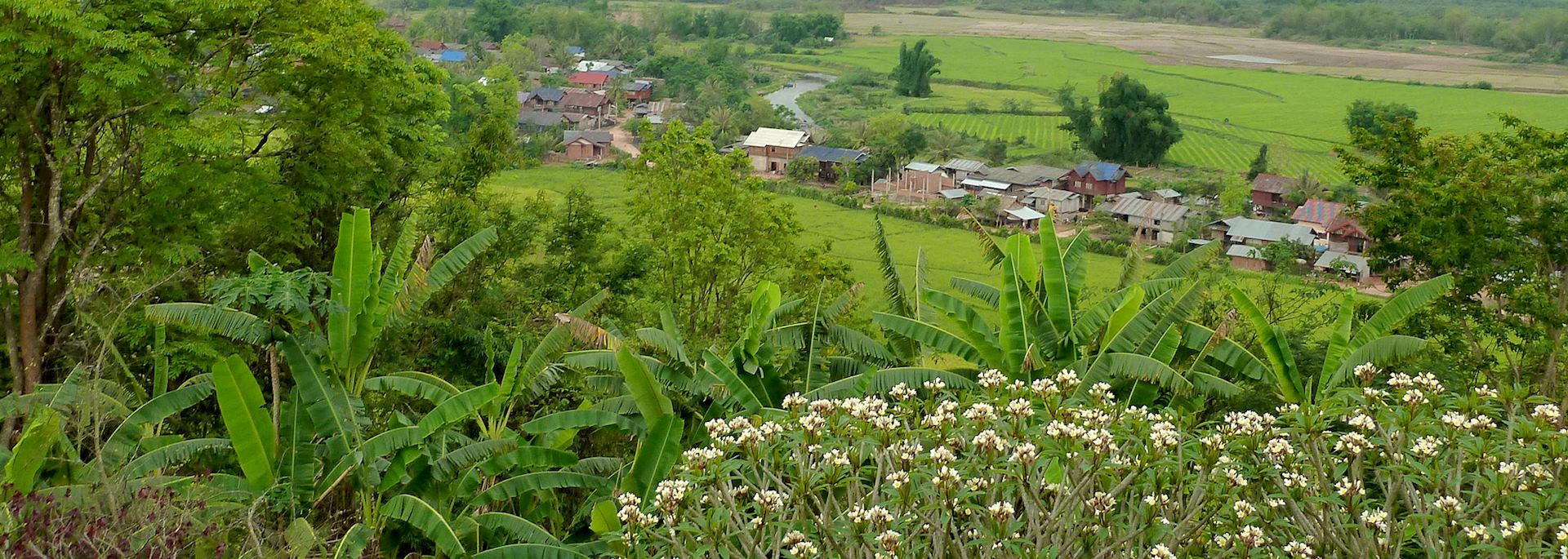 Akha minority village, Luang Nam Tha, Laos